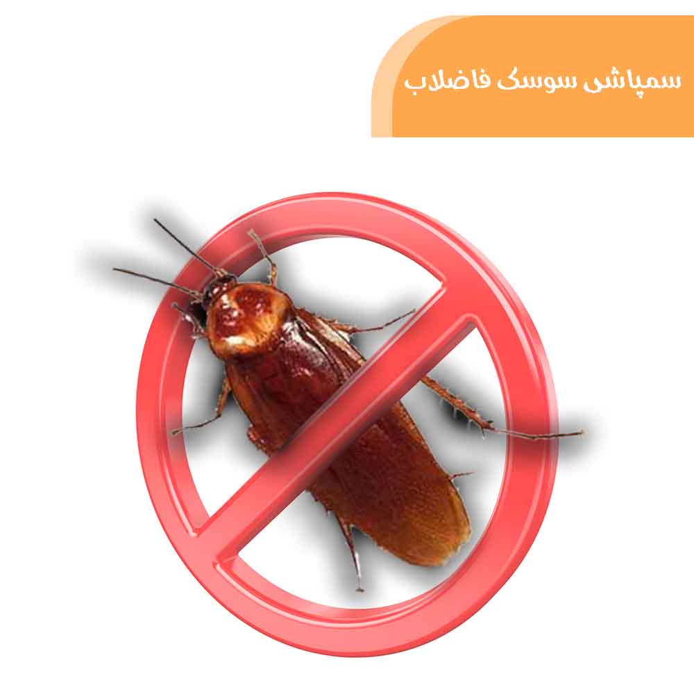 خدمات سمپاشی سوسک فاضلاب