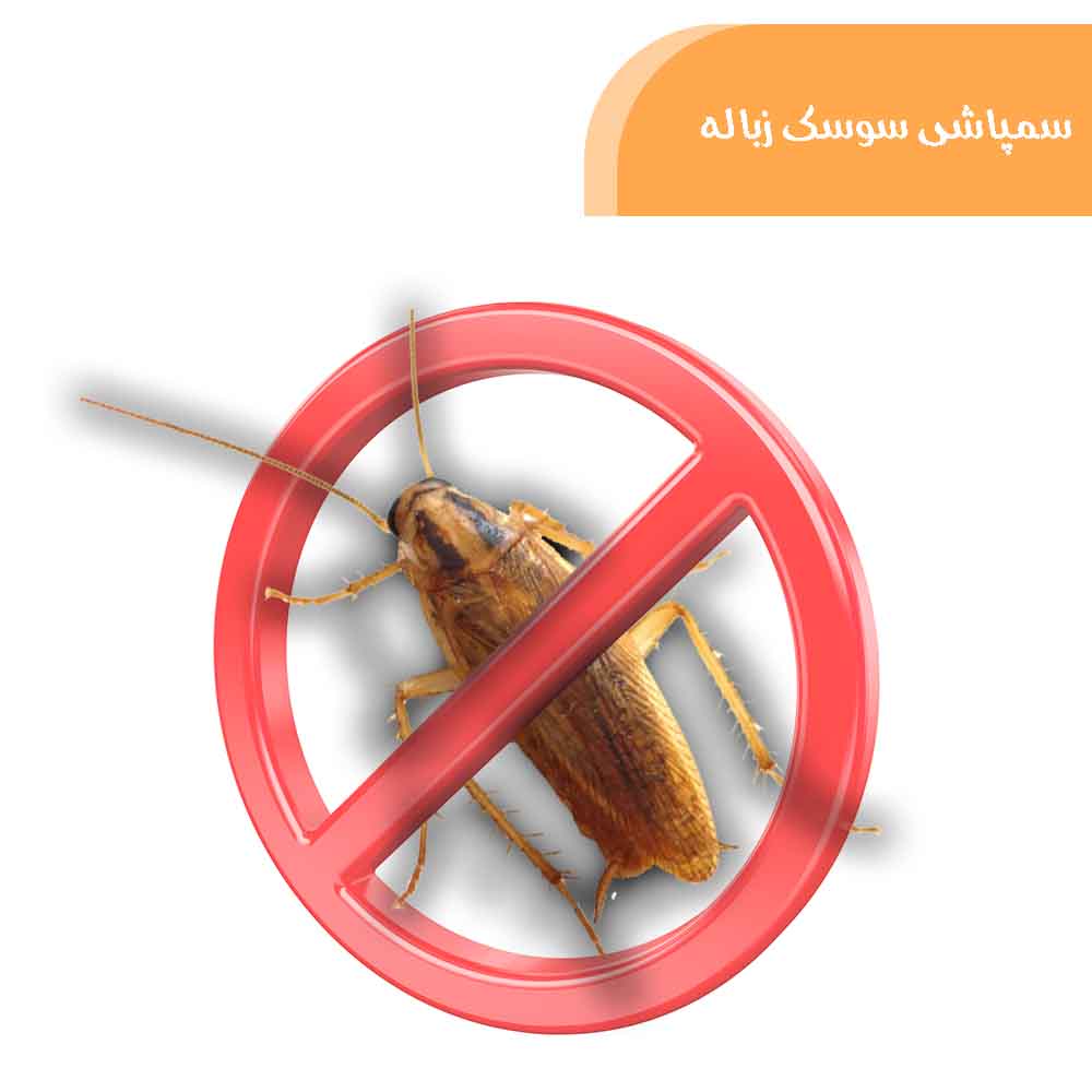 خدمات سمپاشی سوسک کابینت