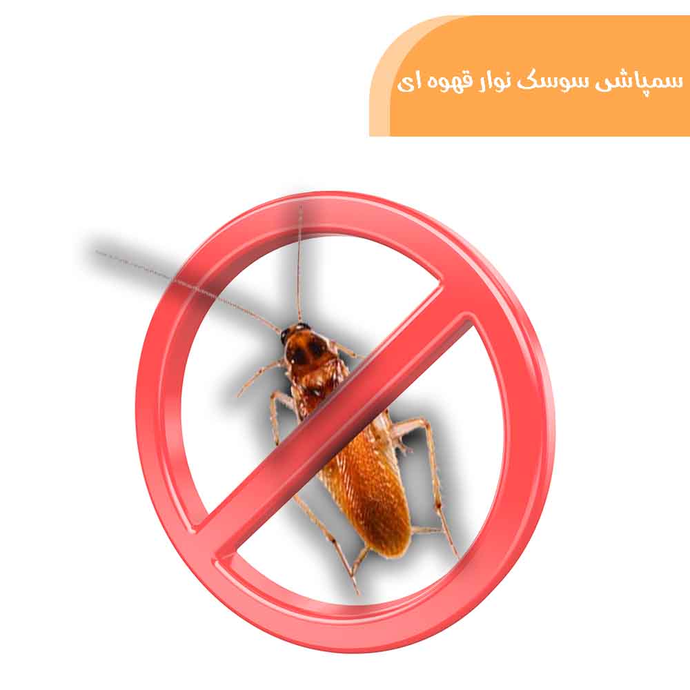 خدمات سمپاشی سوسک نوار قهوه ای