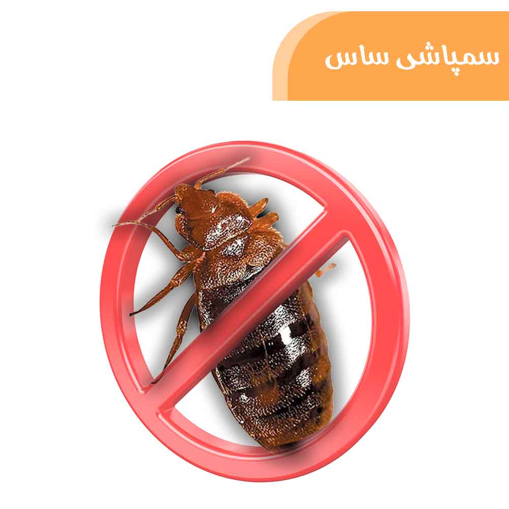 خدمات سمپاشی ساس (ساس تختخواب)