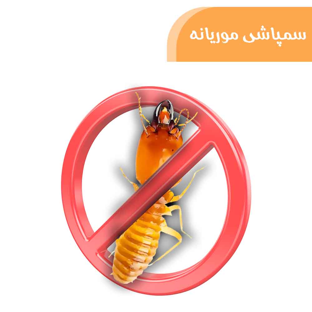 خدمات سمپاشی موریانه