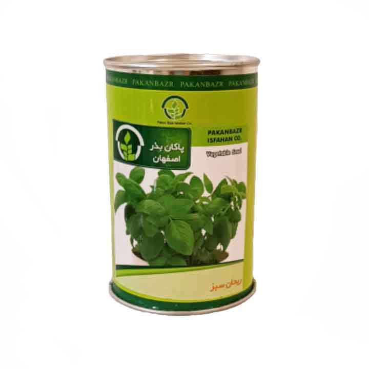 بذر ریحان سبز پاکان بذر