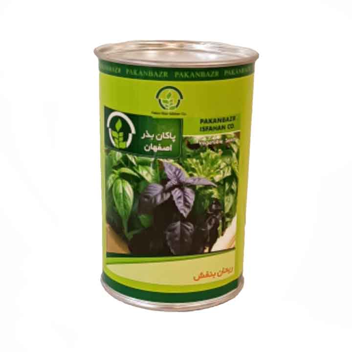 بذر ریحان بنفش پاکان بذر