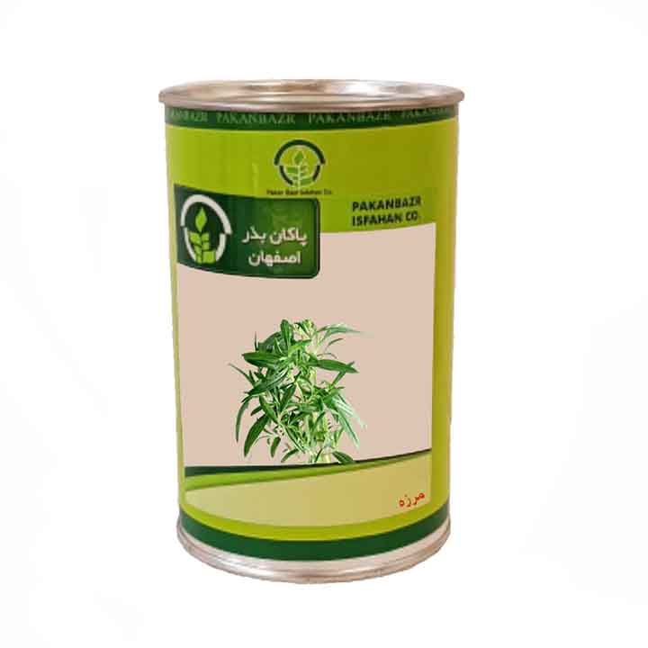 بذر مرزه پاکان بذر