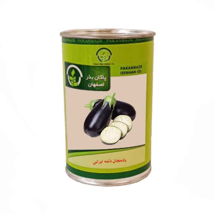 بذر بادمجان دلمه پاکان بذر