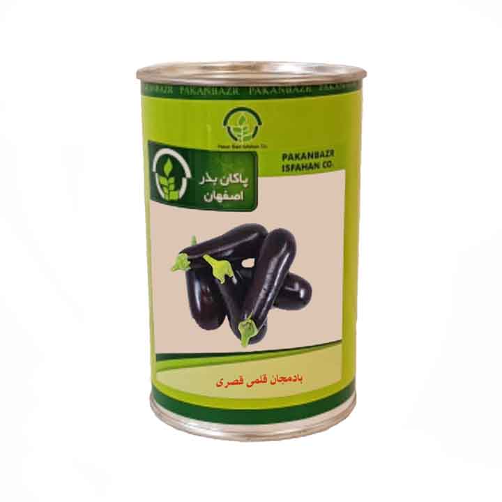 بذر بادمجان قلمی پاکان بذر