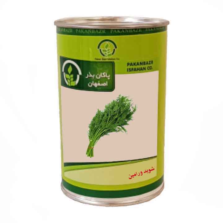 بذر شوید پاکان بذر