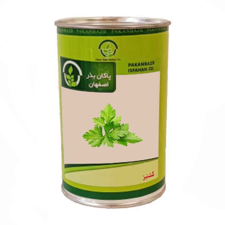 بذر گشنیز پاکان بذر