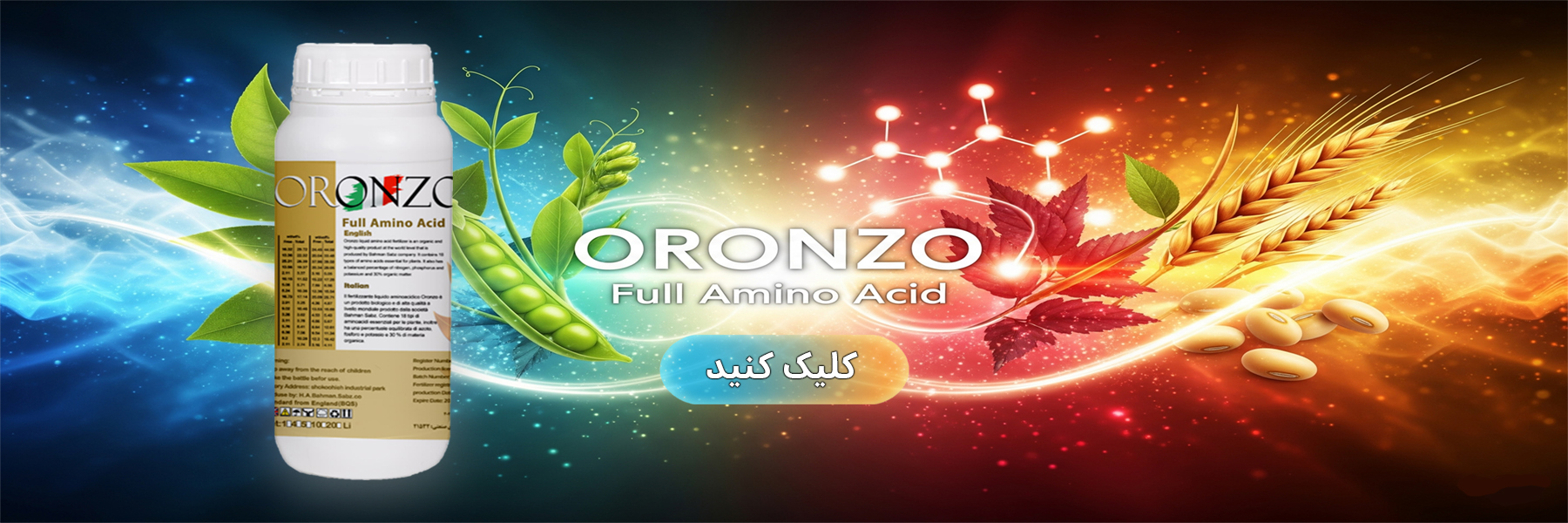 امینو اسید oronzo